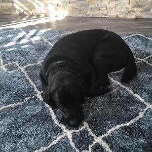 Meet your Posher, Liv